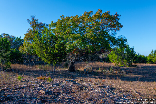 Image 8 of 16 For 3754 Byrd Ranch Rd.