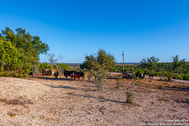 Image 9 of 16 For 3754 Byrd Ranch Rd.