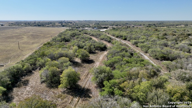 Details for 64 Acres Sh 123, Gillett, TX 78116