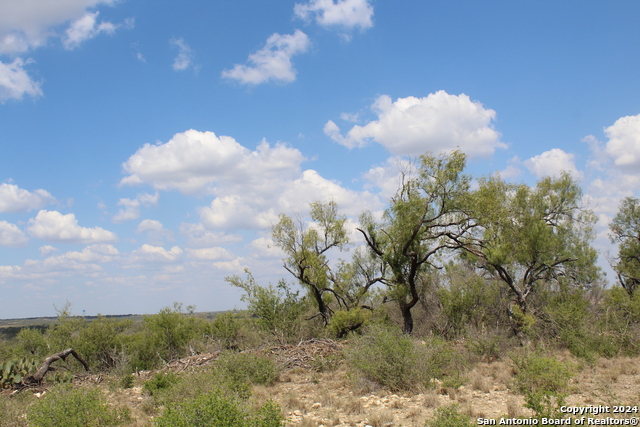 Image 8 of 10 For 5436 County Road 4514