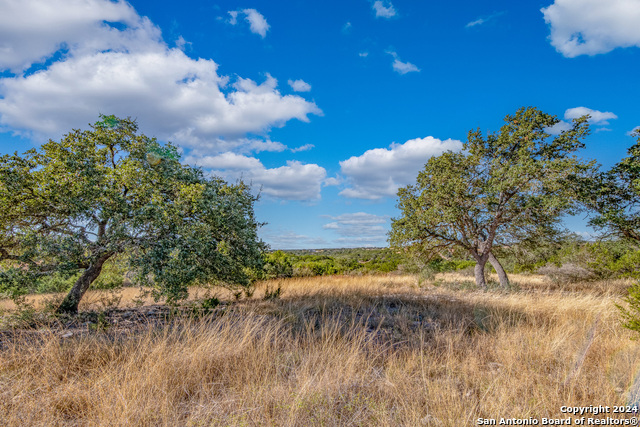 Listing photo id 17 for 151 Galvin Woods