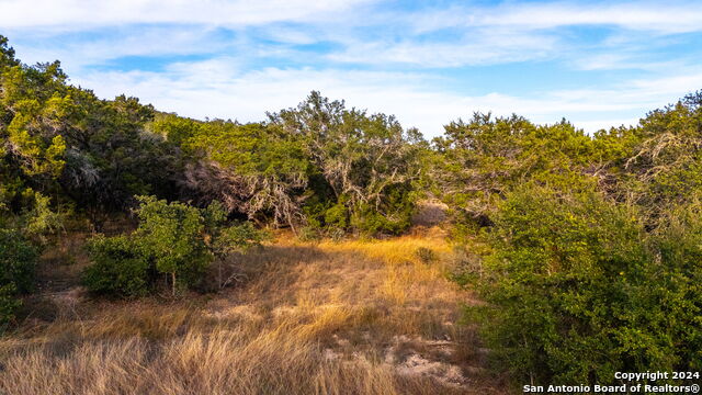 Image 15 of 17 For 111 Hondo Oaks