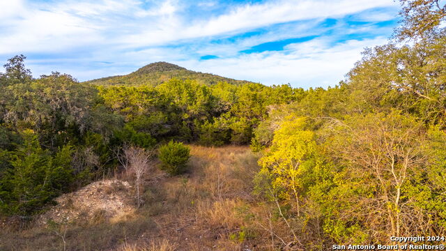 Image 6 of 17 For 111 Hondo Oaks