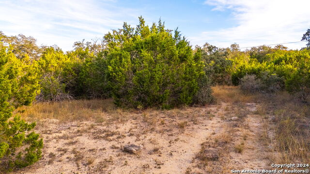 Image 7 of 17 For 111 Hondo Oaks