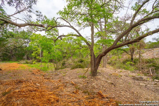 Listing photo id 9 for Tbd-50 Mt Sharp Rd