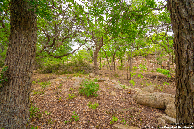 Listing photo id 10 for Tbd-50 Mt Sharp Rd