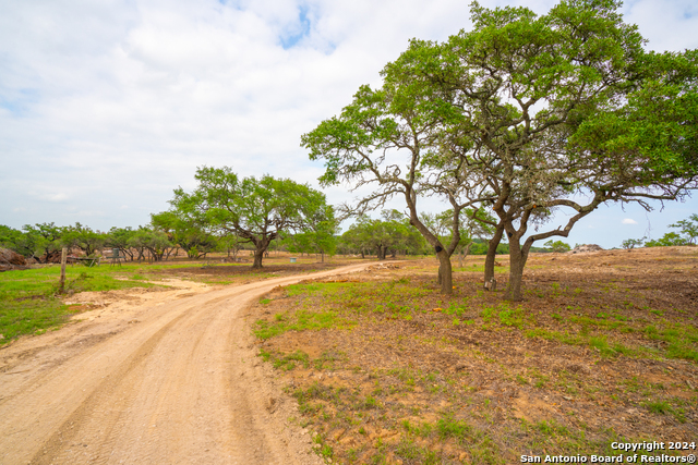 Listing photo id 14 for Tbd-50 Mt Sharp Rd