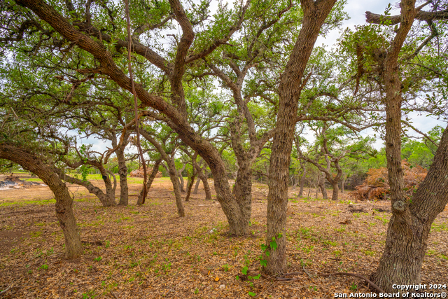 Listing photo id 17 for Tbd-50 Mt Sharp Rd