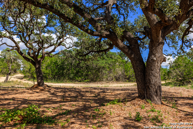 Listing photo id 18 for Tbd-50 Mt Sharp Rd