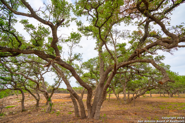 Listing photo id 1 for Tbd-50 Mt Sharp Rd