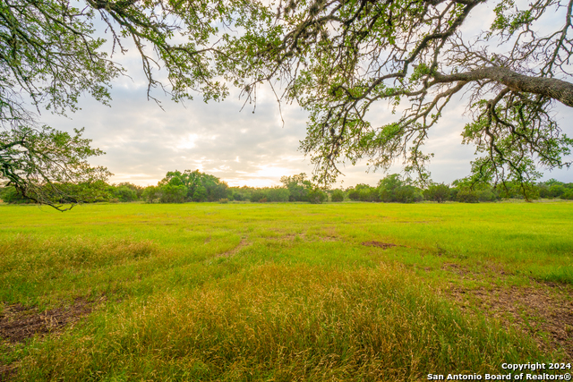 Listing photo id 4 for Tbd-50 Mt Sharp Rd