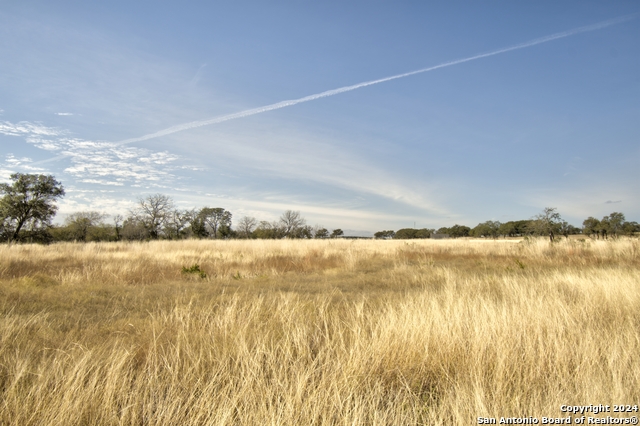 Listing photo id 9 for 158 Seep Springs