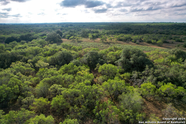 Image 11 of 45 For 2880 County Road 307