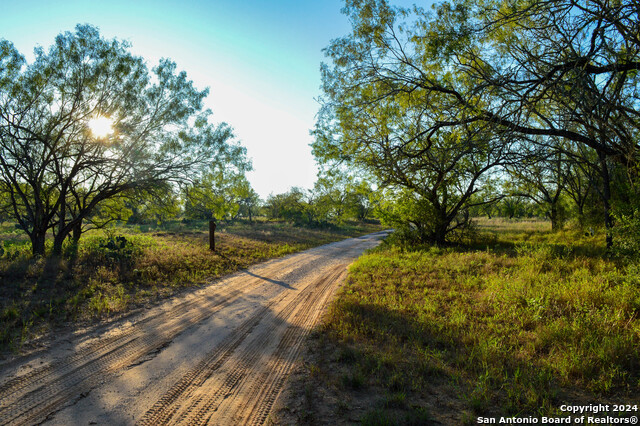 Image 16 of 45 For 2880 County Road 307