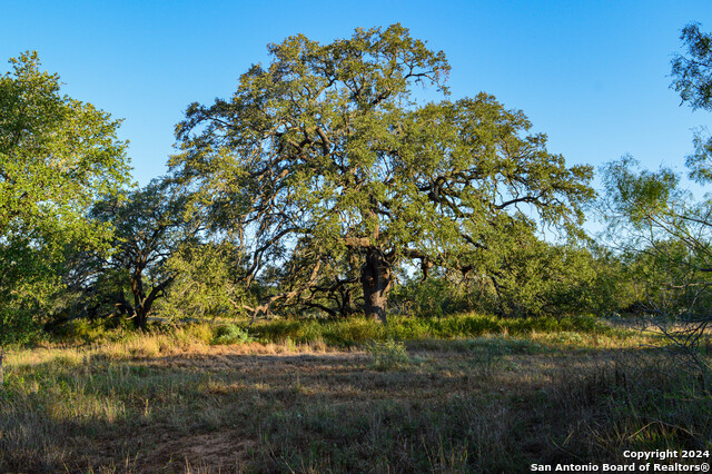 Image 17 of 45 For 2880 County Road 307