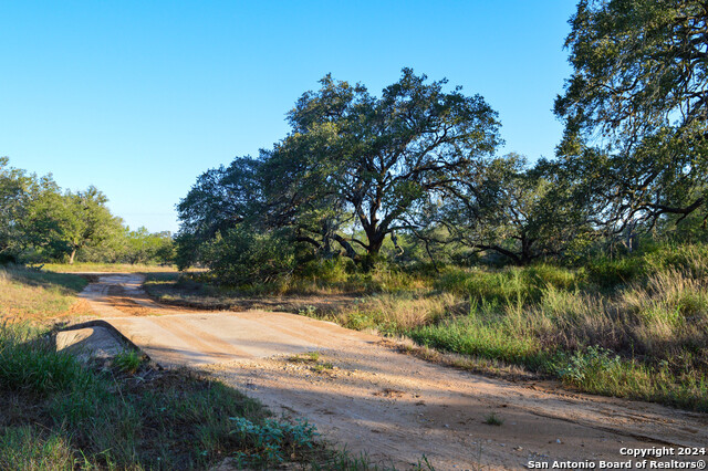 Image 18 of 45 For 2880 County Road 307