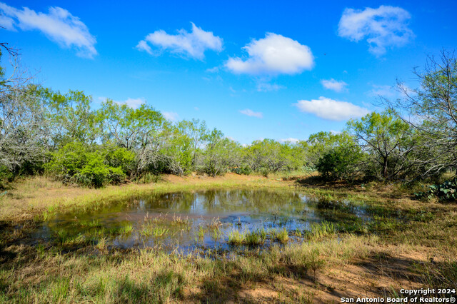 Image 39 of 45 For 2880 County Road 307