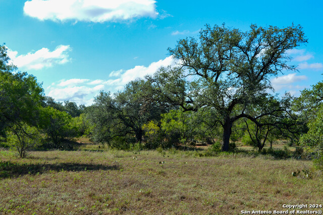 Image 41 of 45 For 2880 County Road 307