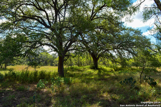 Image 42 of 45 For 2880 County Road 307