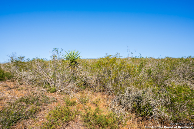 Details for Cr 661  , Devine, TX 78016