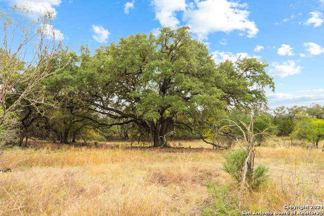 Details for 00 Antler Forest, Dhanis, TX 78850