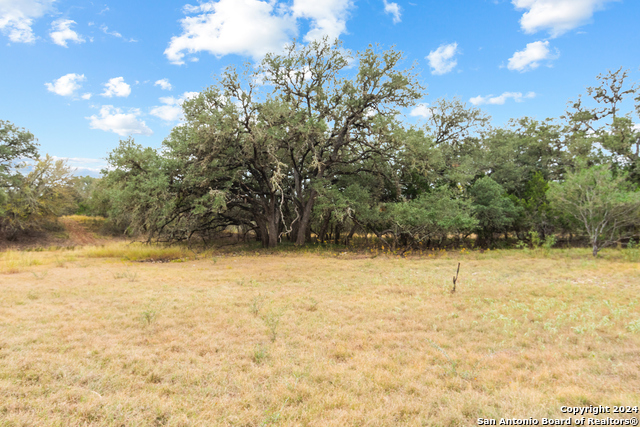 Image 8 of 21 For 00 Antler Forest