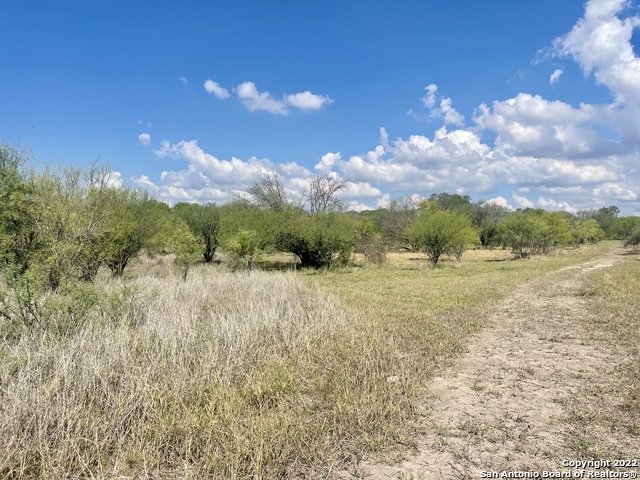 Image 9 of 17 For 673 County Road 381