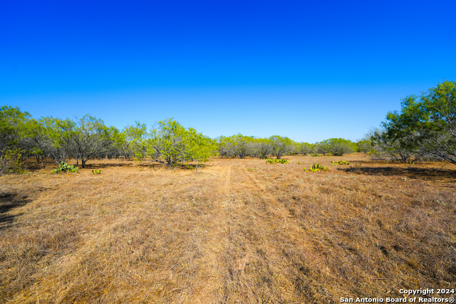 Image 7 of 7 For 315 Old Pleasanton Rd