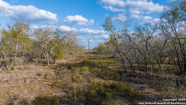 Image 10 of 50 For 000 County Road 386