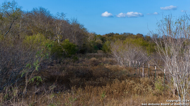 Image 12 of 50 For 000 County Road 386