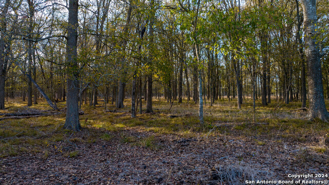 Image 15 of 50 For 000 County Road 386