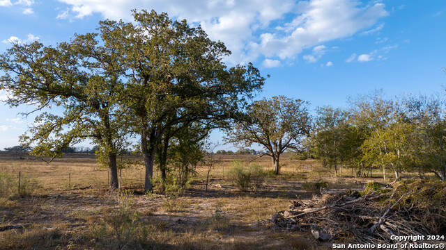 Image 17 of 50 For 000 County Road 386