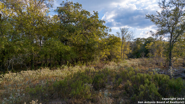 Image 19 of 50 For 000 County Road 386