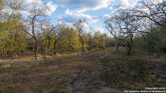 Image 22 of 50 For 000 County Road 386