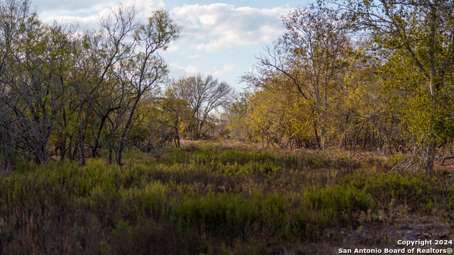 Image 26 of 50 For 000 County Road 386