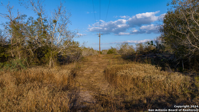 Image 27 of 50 For 000 County Road 386