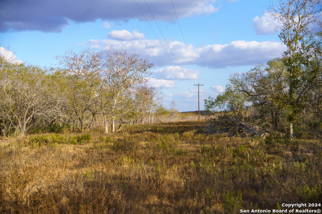 Image 33 of 50 For 000 County Road 386