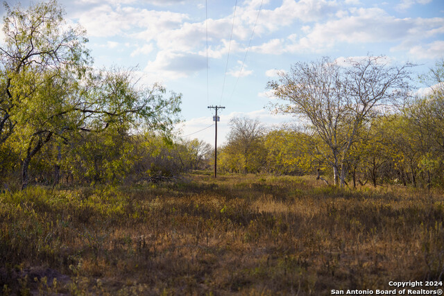 Image 37 of 50 For 000 County Road 386