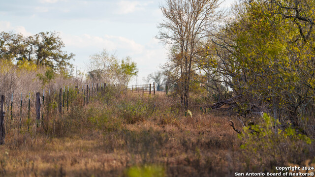 Image 39 of 50 For 000 County Road 386