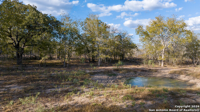 Image 4 of 50 For 000 County Road 386