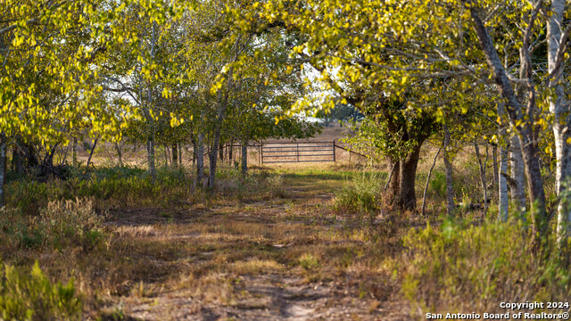 Image 43 of 50 For 000 County Road 386