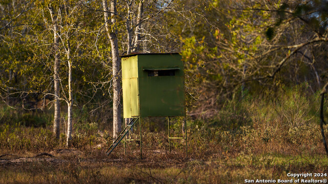 Image 44 of 50 For 000 County Road 386