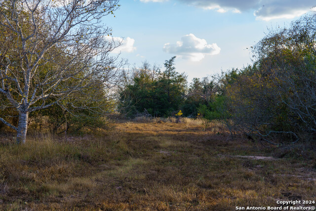 Image 46 of 50 For 000 County Road 386