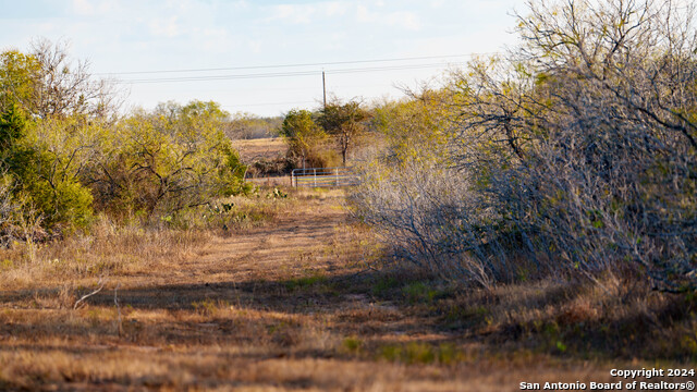 Image 49 of 50 For 000 County Road 386