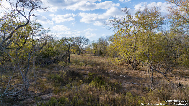 Image 7 of 50 For 000 County Road 386