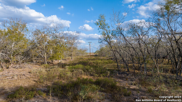 Image 8 of 50 For 000 County Road 386