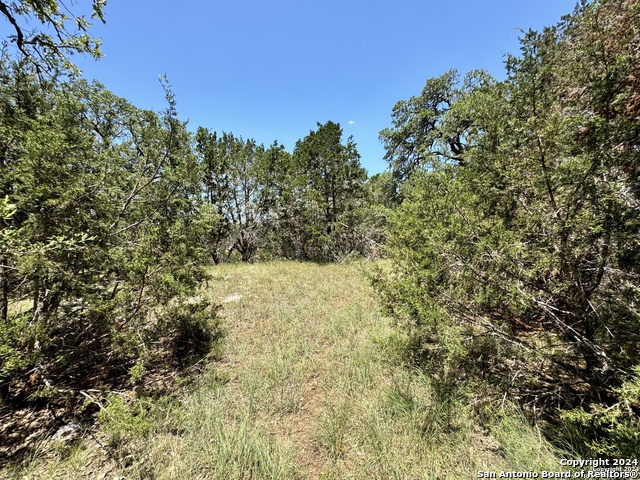 Image 8 of 11 For 854 Maximino Ridge