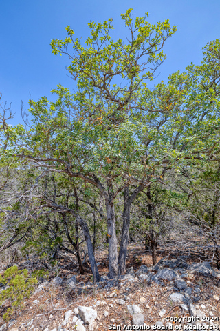 Image 38 of 41 For 824 S Pinon Loop