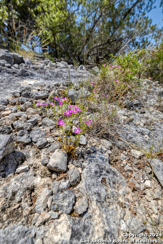 Image 41 of 41 For 824 S Pinon Loop