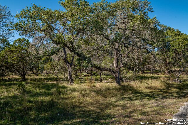 Image 47 of 62 For 584 Crooked Oak